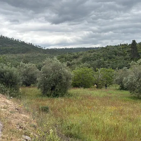 Carmel - Private Camino De Santiago House In *